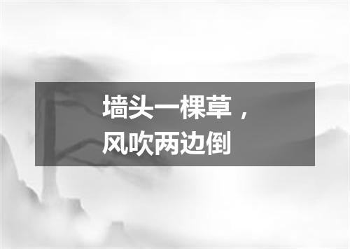 墙头一棵草，风吹两边倒