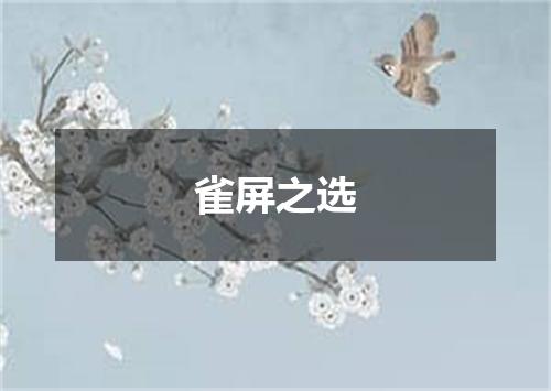 雀屏之选