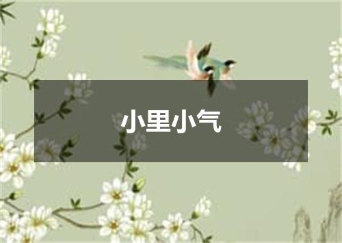 小里小气