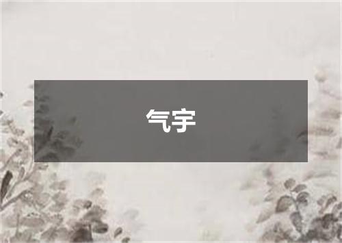 气宇