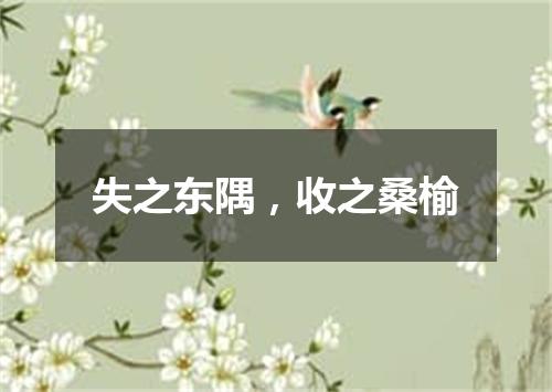 失之东隅，收之桑榆