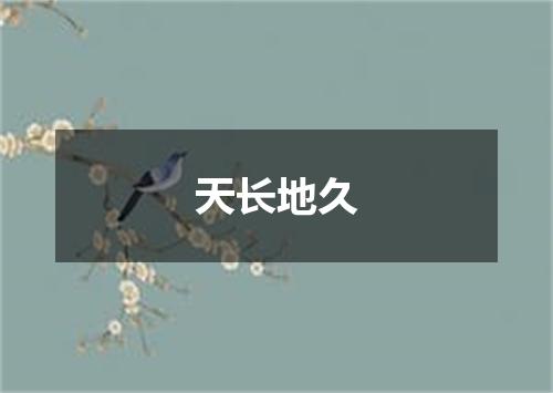 天长地久
