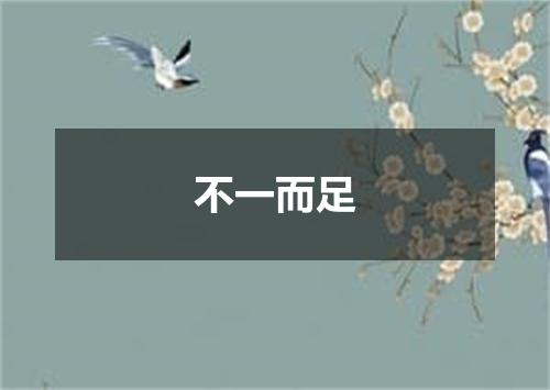 不一而足