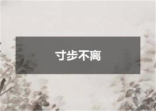 寸步不离