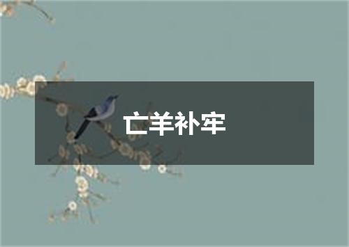 亡羊补牢