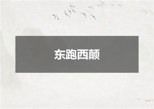 东跑西颠