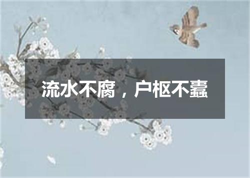 流水不腐，户枢不蠹