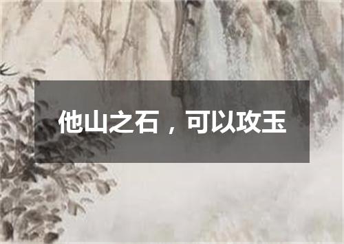 他山之石，可以攻玉