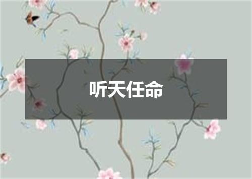 听天任命