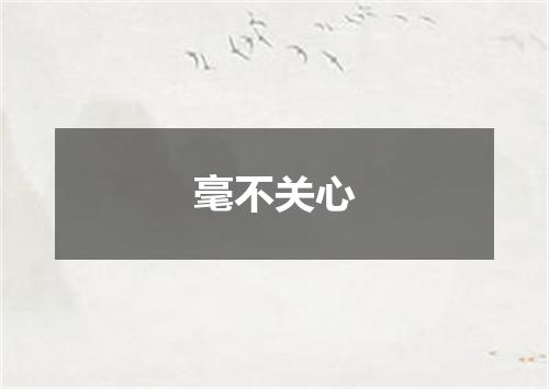 毫不关心