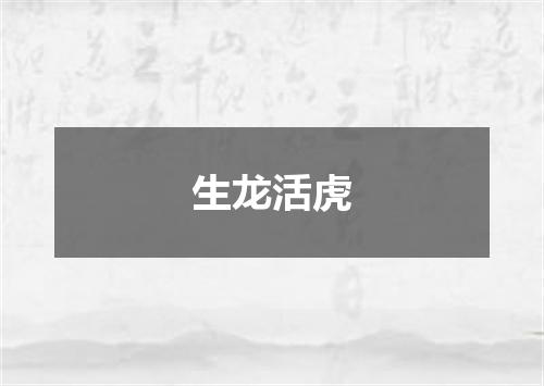 生龙活虎