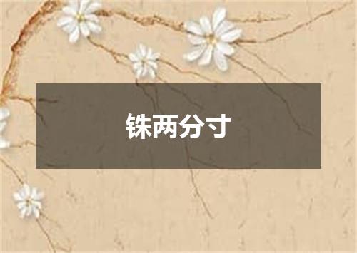 铢两分寸