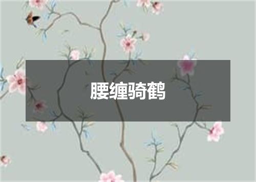 腰缠骑鹤