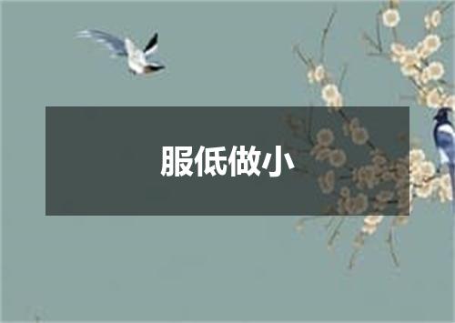 服低做小