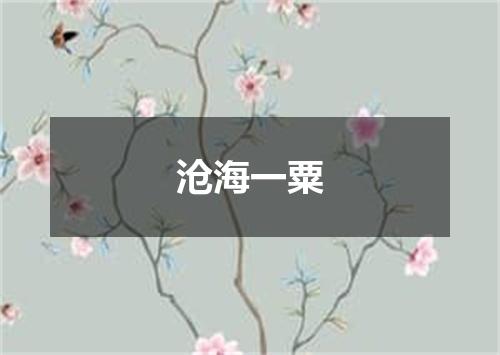 沧海一粟