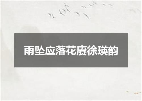 雨坠应落花赓徐瑛韵