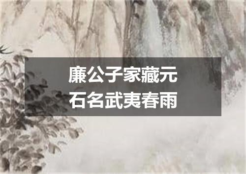 廉公子家藏元石名武夷春雨