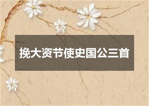 挽大资节使史国公三首