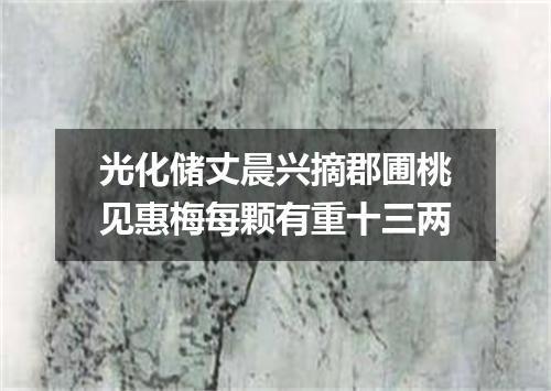 光化储丈晨兴摘郡圃桃见惠梅每颗有重十三两