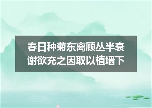 春日种菊东离顾丛半衰谢欲充之因取以植墙下