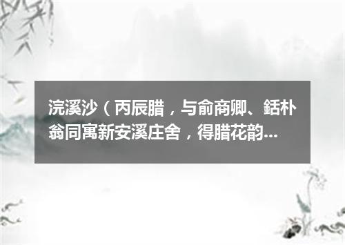 浣溪沙（丙辰腊，与俞商卿、銛朴翁同寓新安溪庄舍，得腊花韵甚，赋二首）