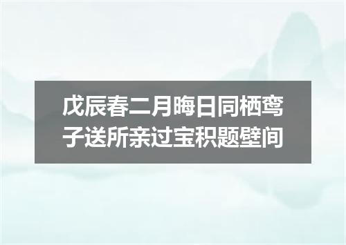 戊辰春二月晦日同栖鸾子送所亲过宝积题壁间
