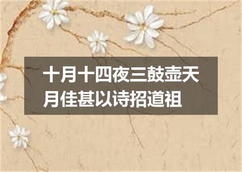 十月十四夜三鼓壶天月佳甚以诗招道祖
