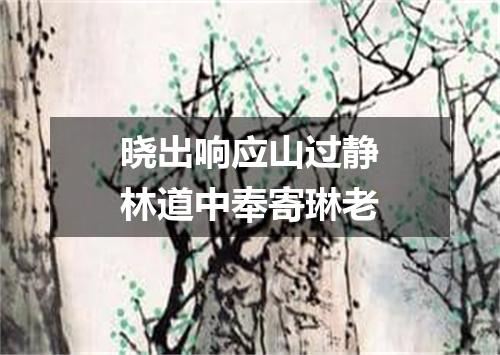 晓出响应山过静林道中奉寄琳老