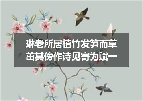 琳老所居植竹发笋而草茁其傍作诗见寄为赋一
