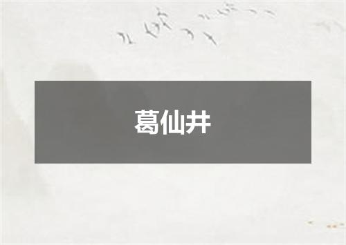葛仙井
