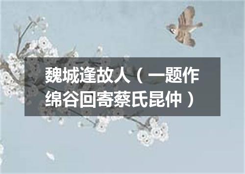 魏城逢故人（一题作绵谷回寄蔡氏昆仲）