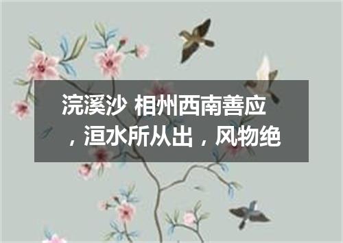 浣溪沙 相州西南善应，洹水所从出，风物绝