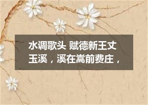 水调歌头 赋德新王丈玉溪，溪在嵩前费庄，
