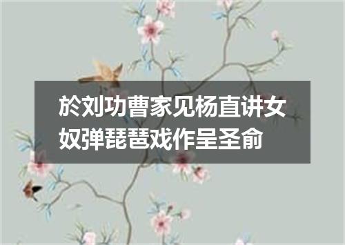 於刘功曹家见杨直讲女奴弹琵琶戏作呈圣俞