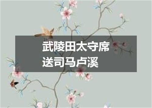 武陵田太守席送司马卢溪