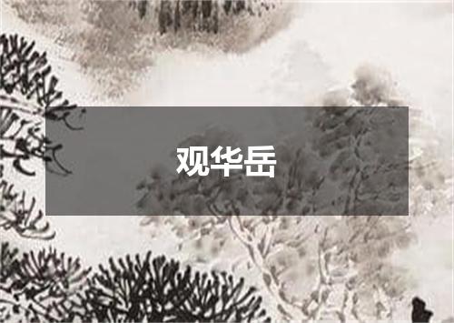 观华岳