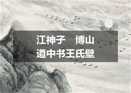 江神子　博山道中书王氏壁