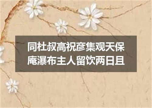 同杜叔高祝彦集观天保庵瀑布主人留饮两日且