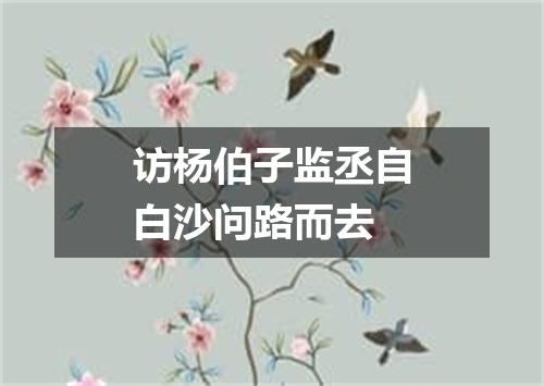 访杨伯子监丞自白沙问路而去