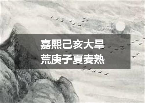 嘉熙己亥大旱荒庚子夏麦熟