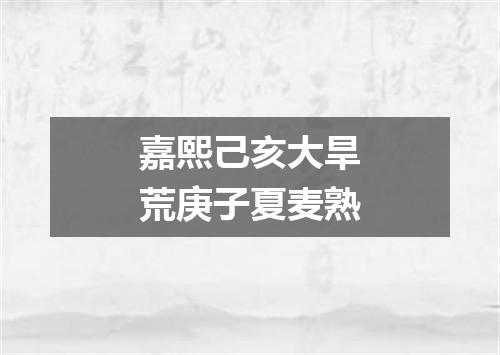 嘉熙己亥大旱荒庚子夏麦熟