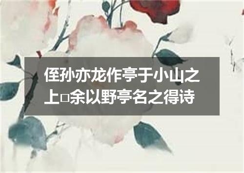 侄孙亦龙作亭于小山之上□余以野亭名之得诗