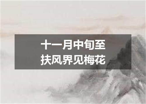 十一月中旬至扶风界见梅花