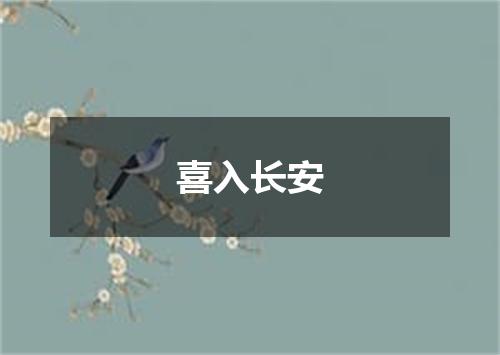 喜入长安