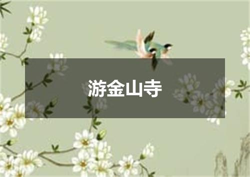游金山寺