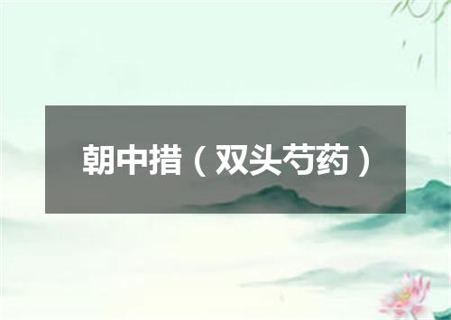 朝中措（双头芍药）