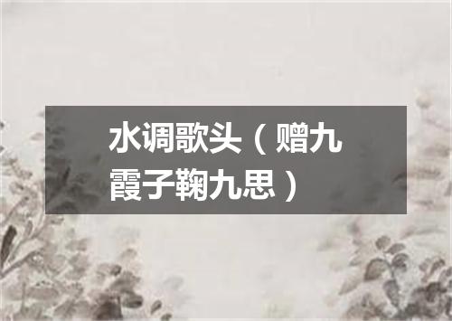 水调歌头（赠九霞子鞠九思）