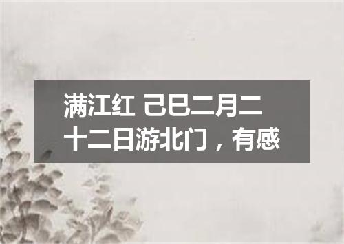 满江红 己巳二月二十二日游北门，有感