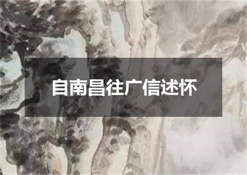自南昌往广信述怀