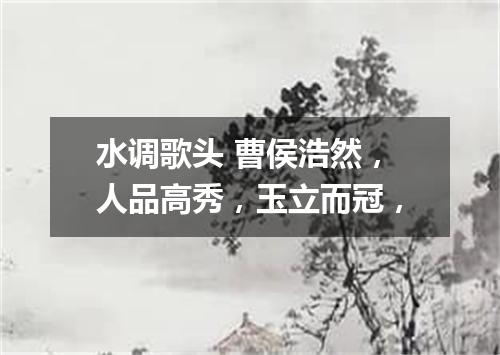 水调歌头 曹侯浩然，人品高秀，玉立而冠，